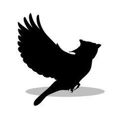 Birds silhouette illustration Design Birds silhouette icon