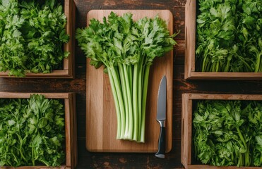 Fototapeta premium Freshly harvested celery and parsley in wooden crates with a knife on a kitchen countertop