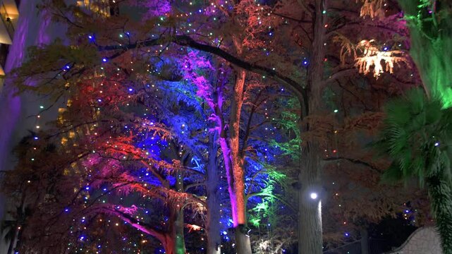 Holiday Lights on the San Antonio Riverwalk