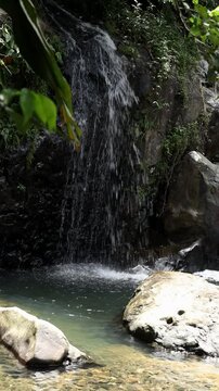 Waterfall in a Pool During the Morning in the El Yunque Forest, Puerto Rico.