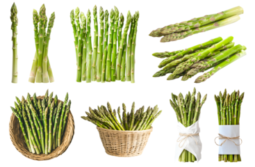 Asparagus vegetable plant flowering stem, many angles view side top front basket wrap bundled isolated on transparent cutout, PNG file. Mockup template for artwork graphic design