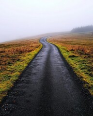 Naklejka premium A long road disappearing into the mist, with no one in sight, isolation, journey without direction
