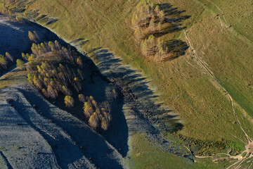 Aerial top down view of autumn trees shadow on green meadow
