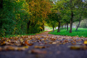 Herbstbeginn in Niederbayern