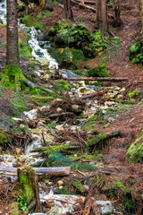 Glencoe Lochan trail Scotland