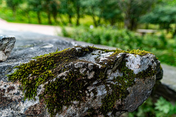 Knockan Crag National Nature Reserve Scotland
