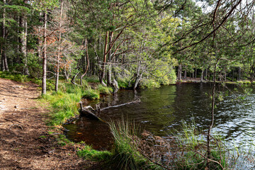 Loch Garten in the Cairngorms Scotland