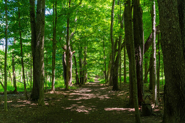 Hiking in Mendon Ponds Park