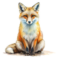 Obraz premium red fox isolated on a transparent background.