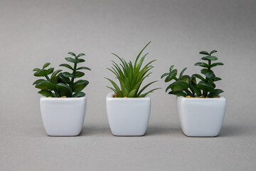 three artificial green small plants are placed in a row