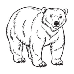 Silhouette vector style Polar Bear with white background