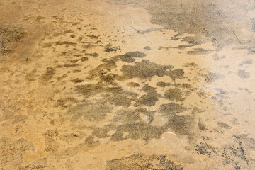 texture of sand