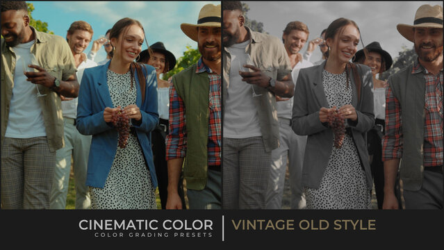 Vintage Old Style Color Presets