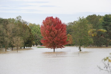 Vend&ocirc;me : stade des Grands Pr&eacute;s sous l'eau
