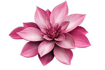 Obraz premium Close-up of a vibrant pink dahlia flower with layered petals, isolated on a transparent background. showcasing natural beauty and elegance.