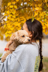 Young Asian woman holding a mini poodle on a background of yellow autumn leaves.