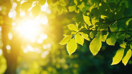 Bright sunlight filters through lush green leaves, creating serene and peaceful atmosphere in nature. vibrant foliage captures essence of warm, sunny day