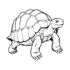Silhouette vector style giant-tortoise with white background