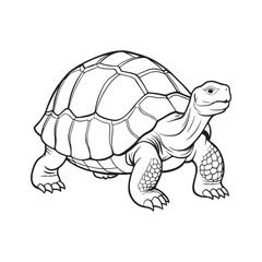 Silhouette vector style giant-tortoise with white background
