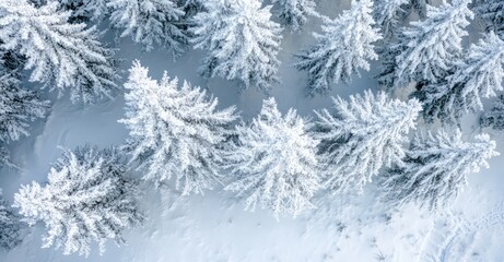 Drone Photo of Snow-Covered Evergreen Trees After Winter Blizzard. AI generated illustration.