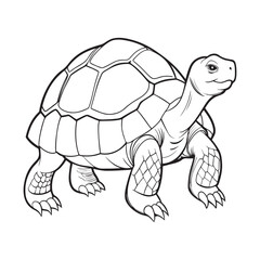 Silhouette vector style giant-tortoise with white background