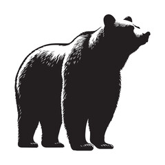 Bear standing silhouette vector  black color white background 
