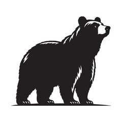 Bear standing silhouette vector  black color white background 