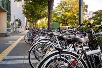 歩道に並ぶ自転車 北海道札幌市