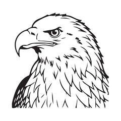 Silhouette vector style Bald Eagle with white background 