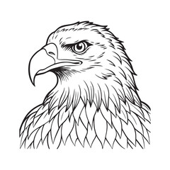 Silhouette vector style Bald Eagle with white background 