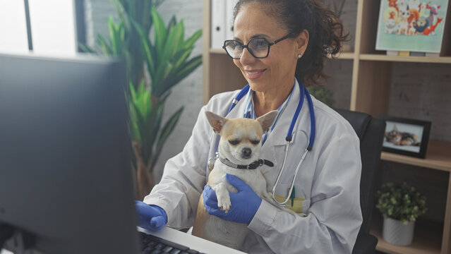 Hispanic woman veterinarian holding chihuahua in clinic office