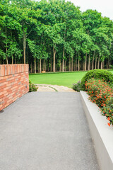 Beautiful pathway in the sunshine with flower garden,Wood path in In Spring Deep Forest,national park,Deep forest pathway,Stairs going up hillside in green rain forest,space for text.