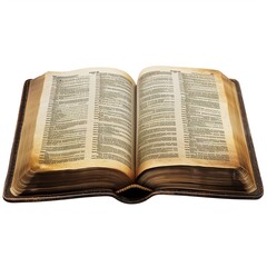 Obraz premium A 3D Bible clipart Christian book