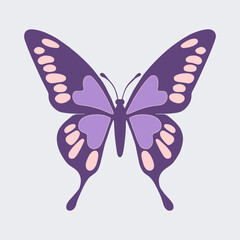 Butterfly Colorful icon vector illustration image