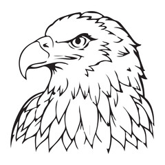 Silhouette vector style Bald Eagle with white background 