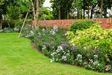 Multi-colored flower bed in the park,cute colorful in backyard,Lots of beautiful summer flowers,Lush bright flowering in the garden,Multicolor blooming,Outdoor summer gardening,space for text.