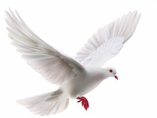 A 3D dove clipart Christian peace symbol