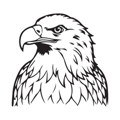 Silhouette vector style Bald Eagle with white background 