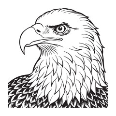 Silhouette vector style Bald Eagle with white background 