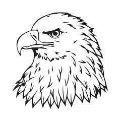 Silhouette vector style Bald Eagle with white background 
