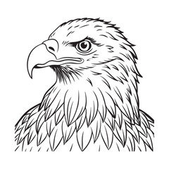 Silhouette vector style Bald Eagle with white background 