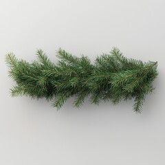 Obraz premium Green Christmas pine twig