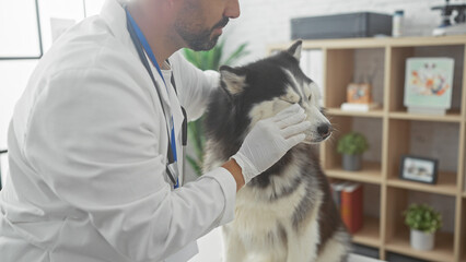 A young hispanic male veterinarian examines a husky in an indoor clinic setting. © Krakenimages.com