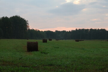hay bales in a field at sunset