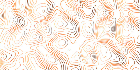 Fototapeta premium Topographic canyon geometric map relief texture with curved layers and shadow. abstract White background with a beautiful pattern, Topographic contour lines vector map seamless pattern vector. 