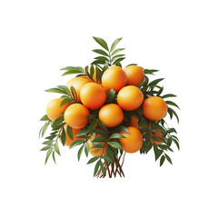 Lush Orange Tree Branch with Ripe Fruit