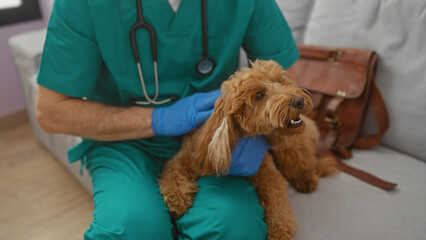 A male veterinarian in scrubs examining a poodle in a home setting, indicating pet healthcare...