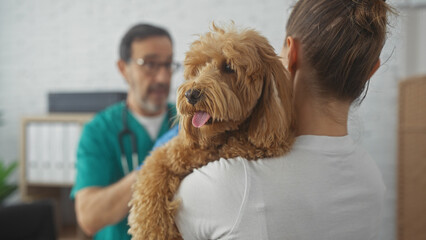 A hispanic man veterinarian examining a poodle in an indoor clinic with a woman holding the pet.