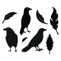 This vector set features elegant silhouettes of crows, ravens, birds, and feathers. Perfect for nature, wildlife, and gothic-themed designs, with minimalist and mysterious charm.