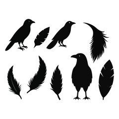 This vector set features elegant silhouettes of crows, ravens, birds, and feathers. Perfect for nature, wildlife, and gothic-themed designs, with minimalist and mysterious charm.